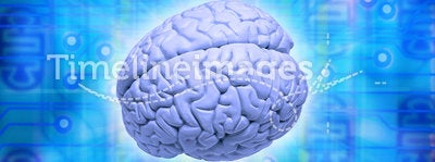 Computer Brain