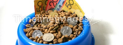 Bowl of money dog food
