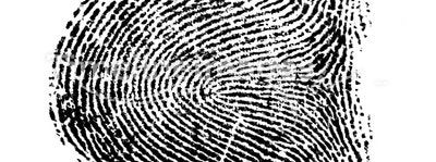 an fingerprint