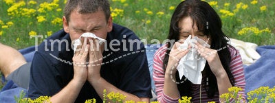 Allergy Sufferers