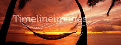 Hammock at Sunset in Paradise
