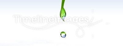 Green leaf with drop of water isolated on whiite