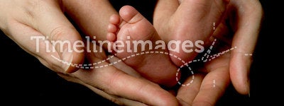 Baby`s feet (in mommy`s hands)