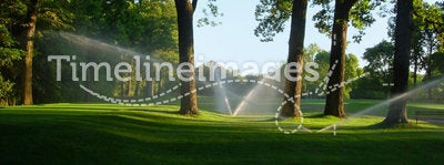 Sprinklers on golf course