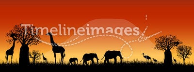 Africa savanna landscape vector