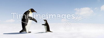 Emperor and Adelie Penguins