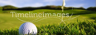 Golfball+flag