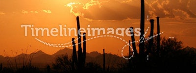 Arizona Hot Sunset