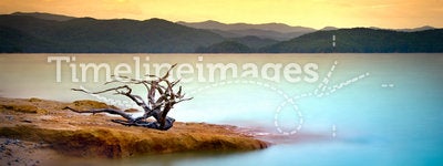 Mountain Lake Driftwood Sunset with Water and Sky